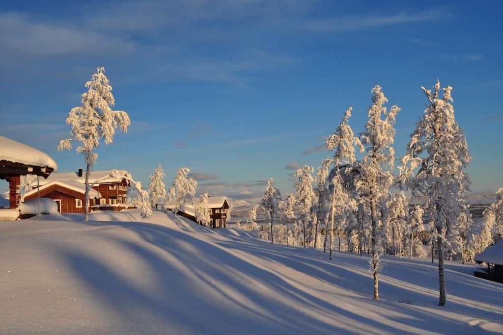 Flott Fritidsleilighet I Bualie Pa Golsfjellet Екстериор снимка